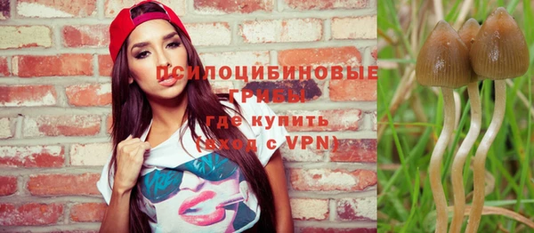 дживик Няндома